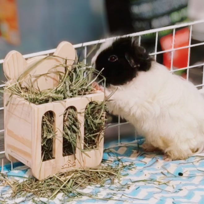 Wood & Mood: Chinchilla/Cavy Hay Rack