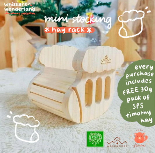 Whiskers Wonderland: Mini Stocking Hay Rack