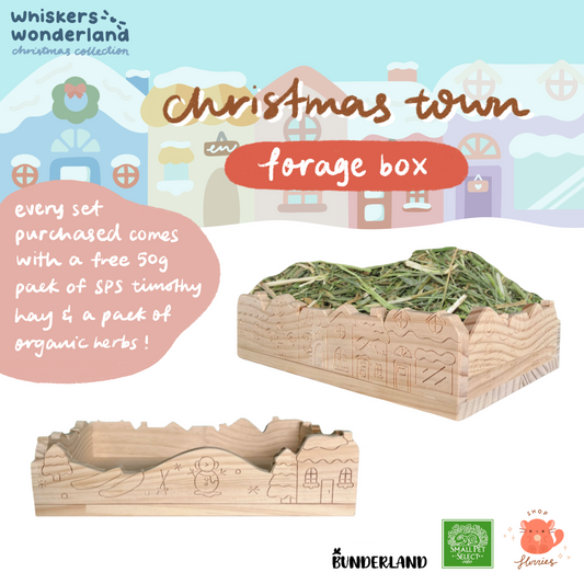 Whiskers Wonderland: Christmas Town Forage Box