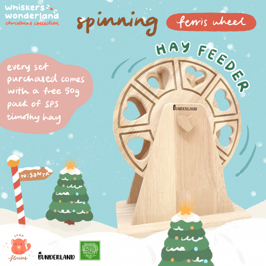 Whiskers Wonderland: Spinning Ferris Wheel Hay Feeder