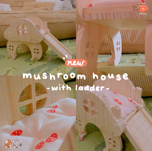 *NEW* Mini-mal Mushroom House with Cushion & Ladder