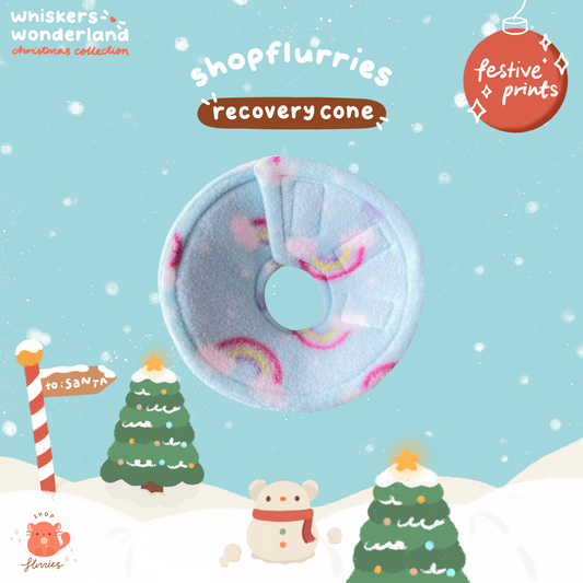 Whiskers Wonderland: Festive Recovery Cones