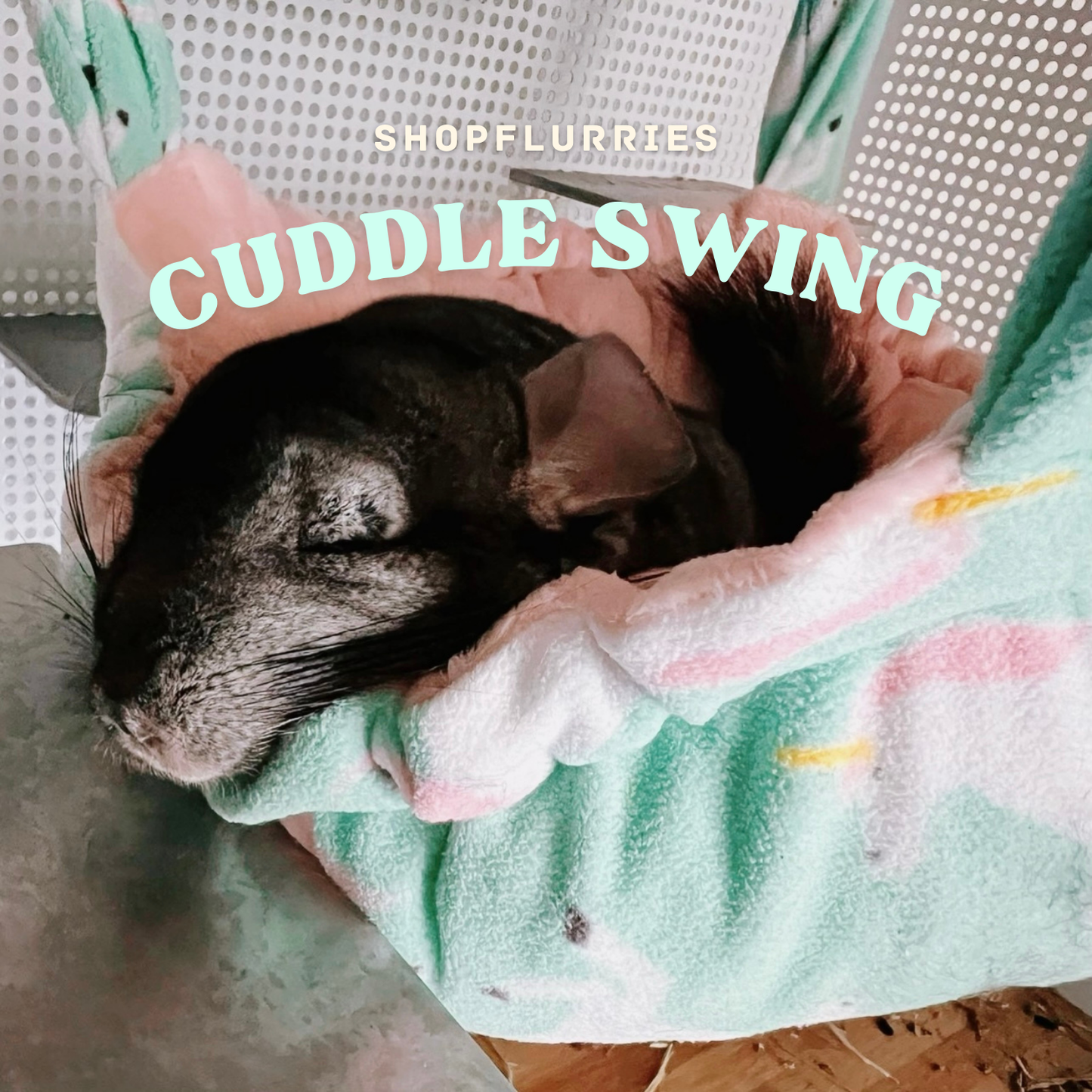 Cuddle Swing