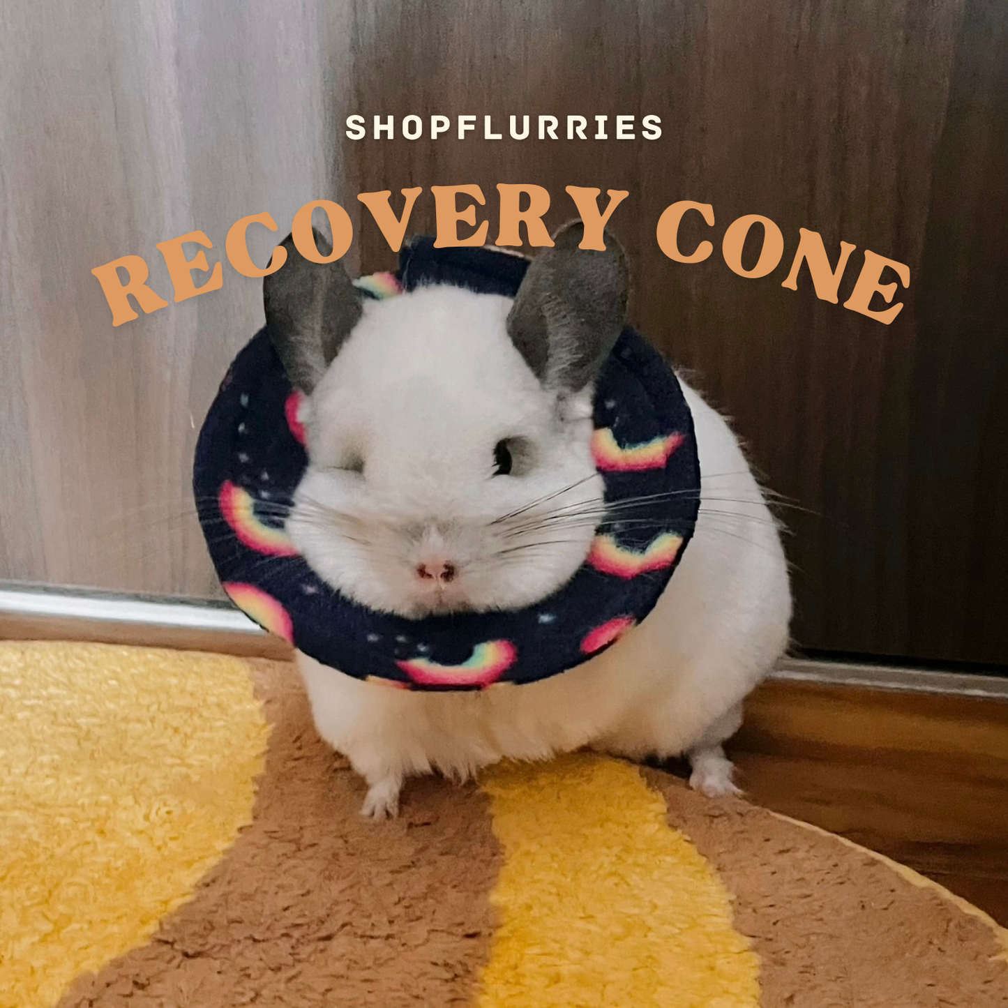 Recovery Cone (M)